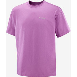SALOMON WILD RAYS GRAPHIC Ανδρικό κοντομάνικο T-Shirt - LC2832900