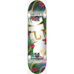 DGK Vacation Complete 8