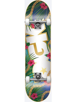 DGK Vacation Complete 8