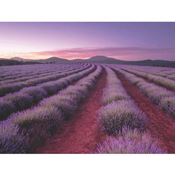 Puzzle Hinkler Lavender Hills 500 Κομμάτια