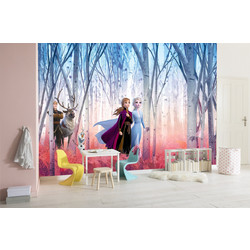Φωτοταπετσαρία Έτοιμων Διαστάσεων Frozen 2,80Μ x 1,80Y 40108