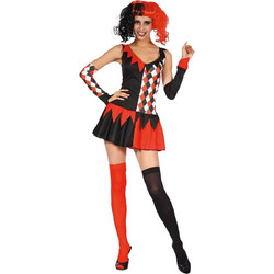 Women's Harlequin Fancy Dress Costume OS