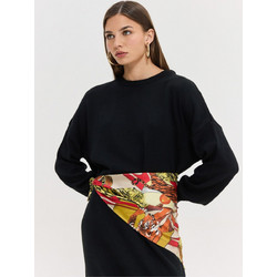 Hemithea Pegasus Scarf Red Multicolor Print