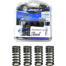 ΕΛΑΤΗΡΙΑ ΒΑΛΒΙΔΩΝ (ΣΕΤ) ΣΚΛΗΡΑ ATAKA RACING YAMAHA CRYPTON-X (T135) (2.8)