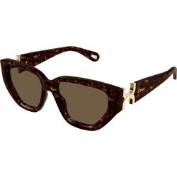 Chloe OCH0235S 002 Γυναικεία Γυαλιά Ηλίου Cat Eye Κοκάλινα Ταρταρούγα με Καφέ Polarized Φακό