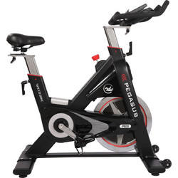 Pegasus PG5 Ποδήλατο Spinning Μηχανικό