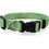 Pet Interest Plain Line Κολάρο Σκύλου Πράσινο 2x32-50cm
