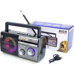 Golon RX-M77D Silver