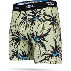 Stance Palmdice Ανδρικό Μποξεράκι Πράσινο Mint STGRE0026