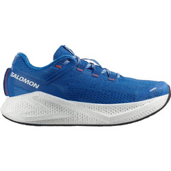 Salomon Aero Glide 3 Ανδρικά Αθλητικά Παπούτσια για Τρέξιμο Μπλε L47810500