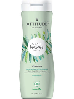 Attitude Σαμπουάν για Ξηρά & Ταλαιπωρημένα Μαλλιά 473ml