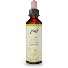Power Health Bach Mustard Ανθοΐαμα σε Σταγόνες για Μελαγχολία 20ml