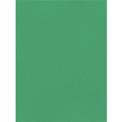 Favini Χαρτόνι Κανσόν Πράσινο 50x70cm 831.5070.16T