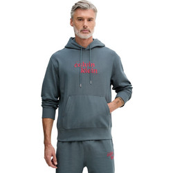 Calvin Klein Ανδρικό Φούτερ με Κουκούλα & Τσέπες Γκρι LV04RG260G-CEG