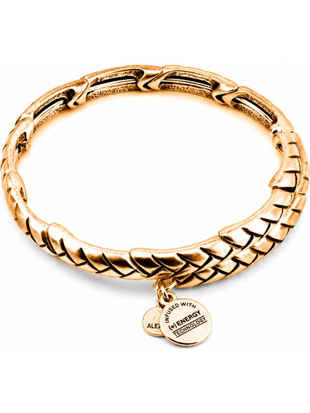 Alex and Ani Γυναικείο Βραχιόλι Βέργα Xρυσό V16W03RG
