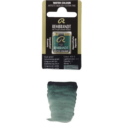 Royal Talens Rembrandt 630 Dusk Green Νερομπογιά 11-586-630