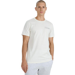 4F Ανδρικό Αθλητικό T-Shirt Λευκό 4FWAW25TTSHM2372-11S