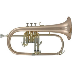 Roy Benson FH-302G Flugelhorn - Bb