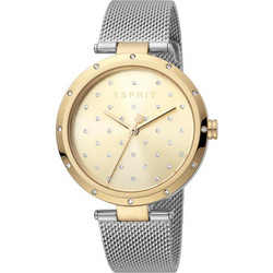 Esprit Γυναικείο Ρολόι με Ασημί Μεταλλικό Μπρασελέ ES1L214M0085