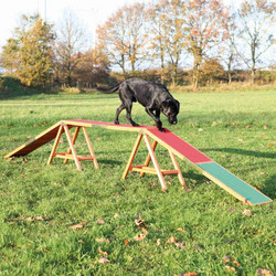 Διάδρομος για Σκύλους Trixie Agility, Διαστάσεων:456x64x30 cm