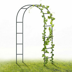 Αψίδα Κήπου από Μέταλλο σε Μαύρο Χρώμα 240x140cm Κωδικός: 36139238
