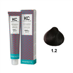Faipa Perfecta Creme Color Pro Line 1.2 Ιώδες Μαύρο Ημιμόνιμη Βαφή Μαλλιών Χωρίς Αμμωνία 70ml