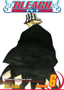 Bleach, Vol. 6