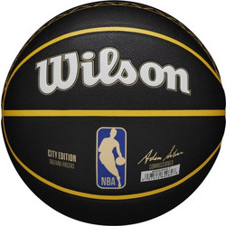 Wilson Indiana Pacers WZ4016412XB7