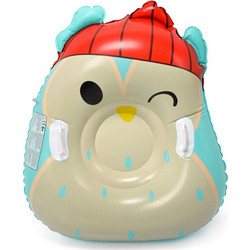 Meteor Owl 16765 snow slide