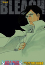 Bleach (3in1 Edition), Vol. 24 Bleach (3in1 Edition), Vol. 24
