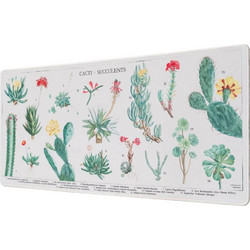 Botanical Cacti White XL