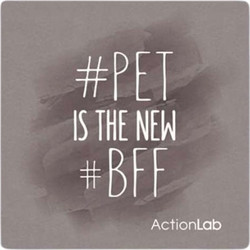 Action Lab Μαγνητάκι Magnet Pet is The New BFF