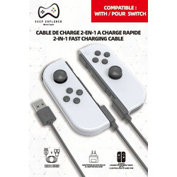 Deep Explorer - 2 in 1 Charger - Nintendo Switch