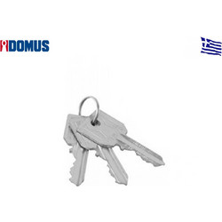 Κλειδί άκοπο με 5 δόντια αριστερά Domus (16009LN)