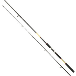 Daiwa Grandwave Καλάμι Ψαρέματος για Shore Jigging Carbon Δίσπαστο 2.9m 28-84gr