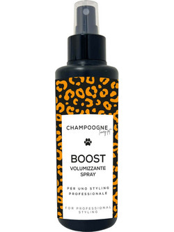 CHAMPOOGNE Boost - Σπρέι Για Αύξηση Όγκου Τριχώματος 200ml
