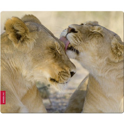 Speedlink Lion SL-6242-LION