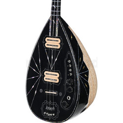 Electric Saz gamusic bk-11 kelembekneckarman| Ηλεκτρικό Σαζ με Θήκη