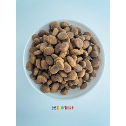 Reflex Adult Premium Σολομός & Ρύζι (Χύμα-1kg)