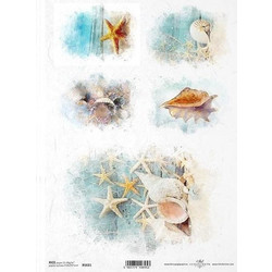 Ριζόχαρτο ocean shells 21x29.7εκ. (ITD-R1611)