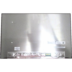 Panel Screen 16" / 1920*1200 / 30Pin / PCB Bent / No Brackets / Privacy X160NV42 R0,N14763-001