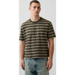 Ανδρική Μπλούζα Heavyweight Cropped Γραμμής GREEN STRIPE