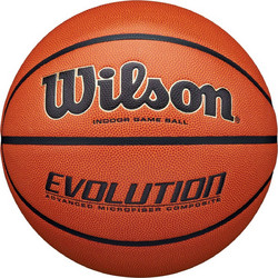 Wilson Evolution Indoor Game WTB0586XBEMEA