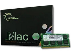 G.Skill D3S 4GB (1X4GB) DDR3 RAM 1066MHz SoDimm FA-8500CL7S-4GBSQ