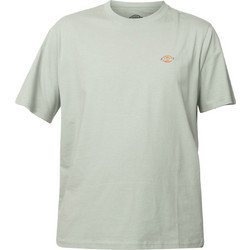 Dickies MAPLETON SS TEE Μέντα