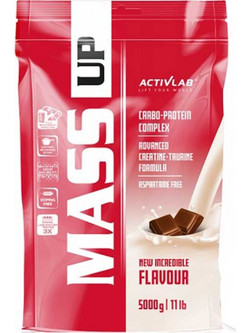 Activlab Mass Up Chocolate Πρωτεΐνη Ορού Γάλακτος Όγκου 5kg