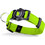 MyFamily Memopet Κολάρο Σκύλου Lime 25-45cm