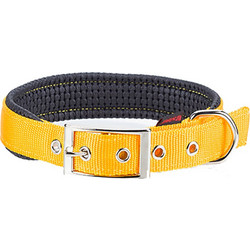 Pet Interest Neoprene Standard Fluo Κολάρο Σκύλου Κίτρινο 2.5x55cm