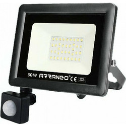 Arrango AP76030