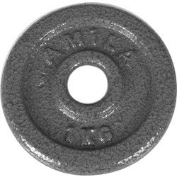 Amila Δίσκος Μεταλλικός 1kg Φ28mm